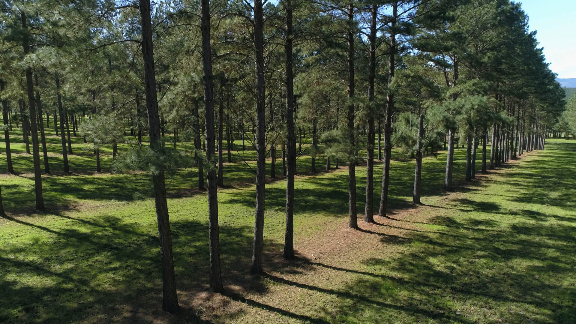Compromisso e transparência no tratamento das informações
